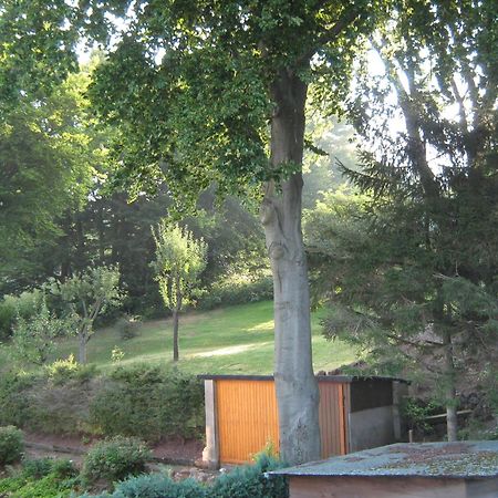 Ferienwohnung Sauerland Panorama Korbach Luaran gambar